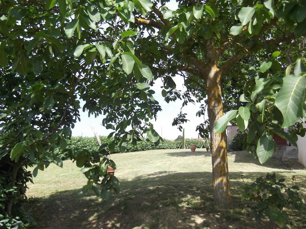 Agriturismo Le Caselle Cerbaia 객실 사진